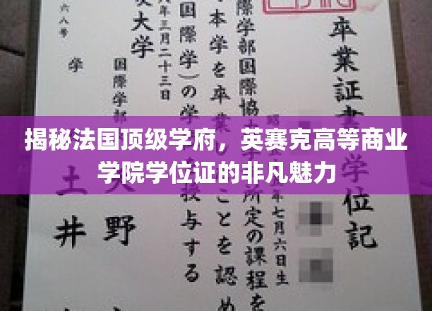 揭秘法国顶级学府，英赛克高等商业学院学位证的非凡魅力