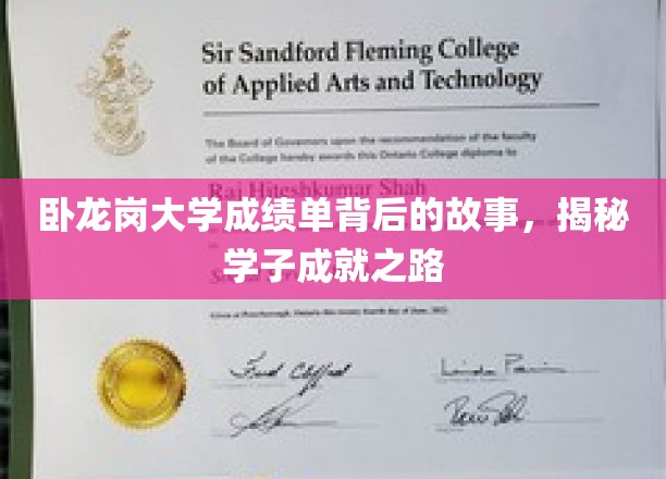 探寻卧龙岗大学学子卓越背后的成绩单传奇