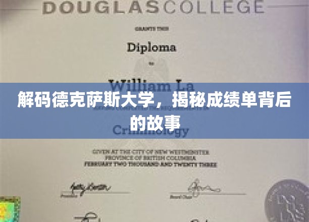 德克萨斯大学成绩单之谜，揭开学术成就的神秘面纱