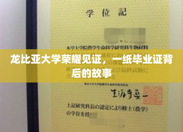 龙比亚大学荣耀见证，一纸毕业证背后的故事