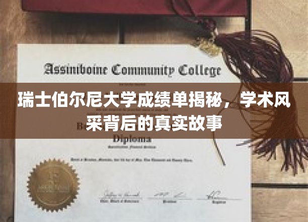 瑞士伯尔尼大学成绩单揭秘，学术风采背后的真实故事