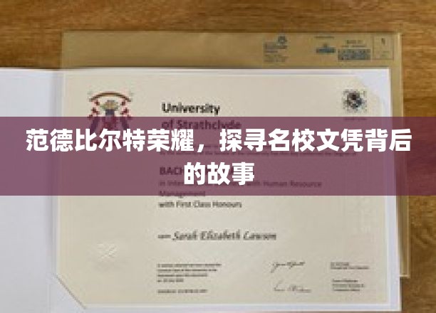 名校光环下的秘密，范德比尔特荣耀背后的真实故事