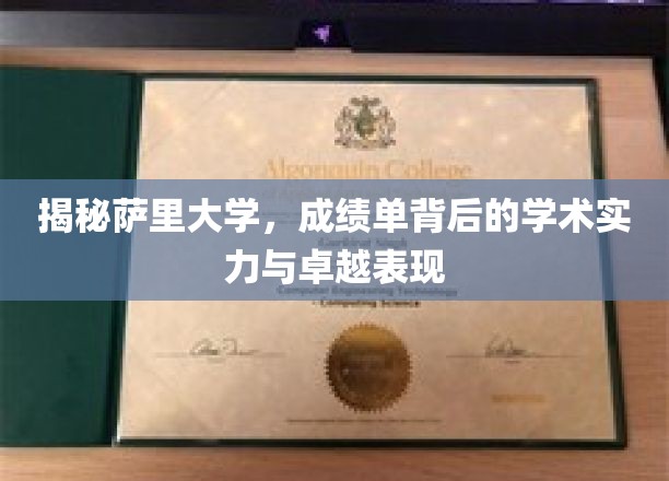 萨里大学揭秘，探秘卓越学术实力与耀眼成绩单背后的故事