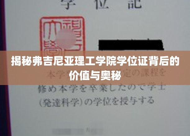 揭秘，弗吉尼亚理工学院学位证的不凡魅力与深层价值