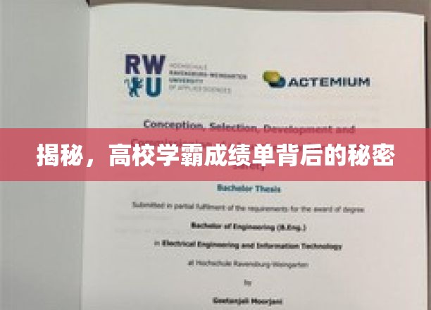 揭秘，高校学霸成绩单背后的秘密