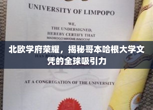 探寻哥本哈根大学，北欧教育明珠的全球璀璨光芒