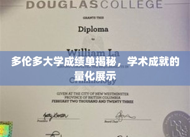 探索多伦多大学成绩单，量化背后的学术荣耀之路