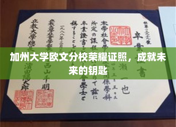 加州大学欧文分校荣耀学位，开启无限未来之门
