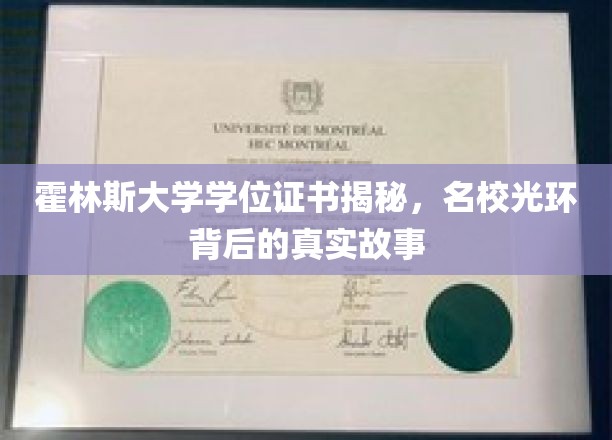霍林斯大学证书背后的传奇，揭秘名校不为人知的真实面纱