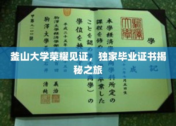 釜山大学荣耀见证，独家毕业证书揭秘之旅