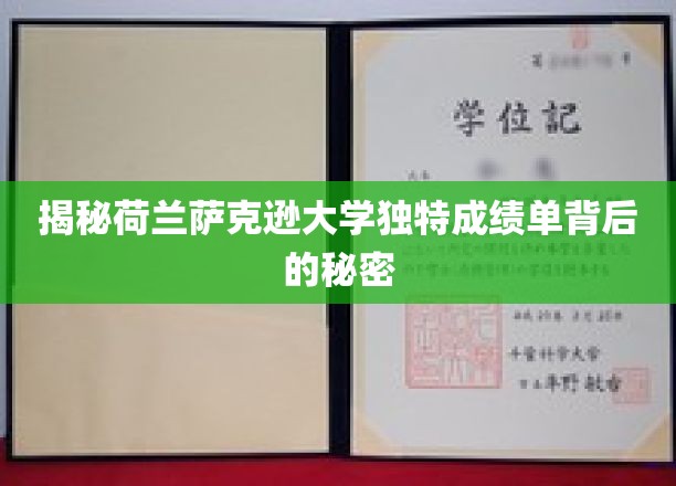 揭秘荷兰萨克逊大学独特成绩单背后的奥秘