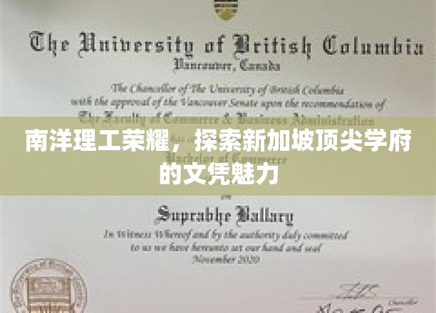 解码南洋辉煌，新加坡精英学府的文凭魅力揭秘
