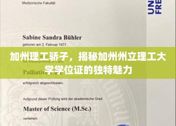 加州理工骄子，揭秘加州州立理工大学学位证的独特魅力
