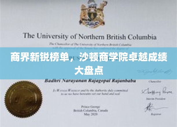 沙顿商学院新锐精英榜，商界翘楚们的卓越风采全解析