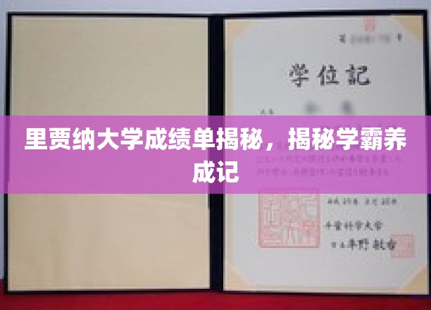 里贾纳大学成绩单揭秘，揭秘学霸养成记