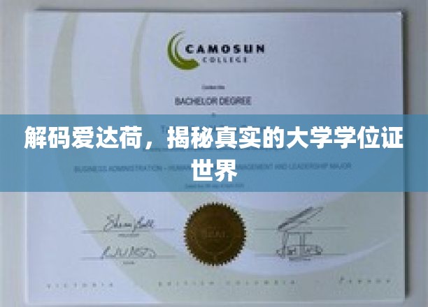 探寻爱达荷奥秘，揭秘学历认证背后的真实世界