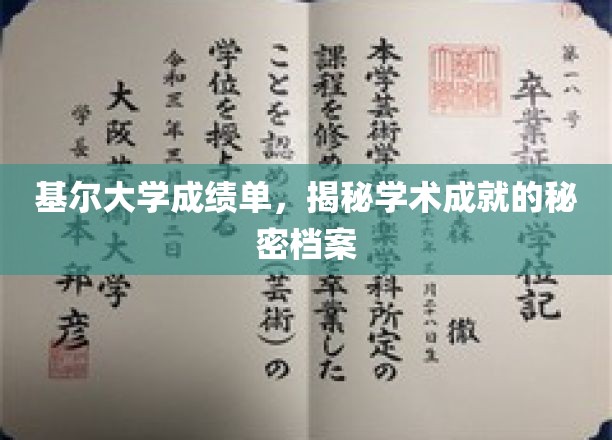 基尔大学成绩单解码，探索学术卓越的隐藏轨迹