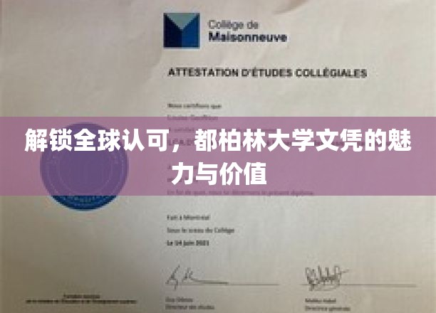 解锁全球认可，都柏林大学文凭的魅力与价值