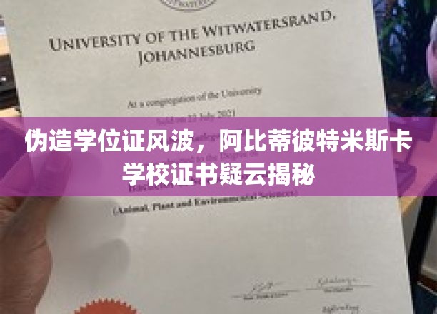 阿比蒂彼特米斯卡学校证书疑云，伪造学位证风波背后真相揭晓！