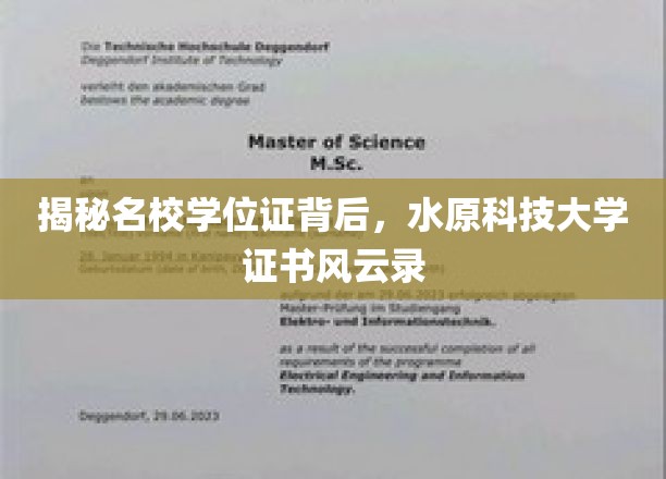 揭秘名校学位证背后，水原科技大学证书风云录