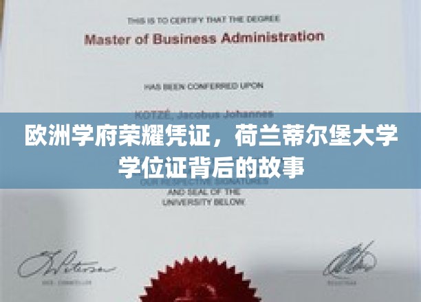 荷兰蒂尔堡大学学位证，探寻欧洲学府的荣耀印记