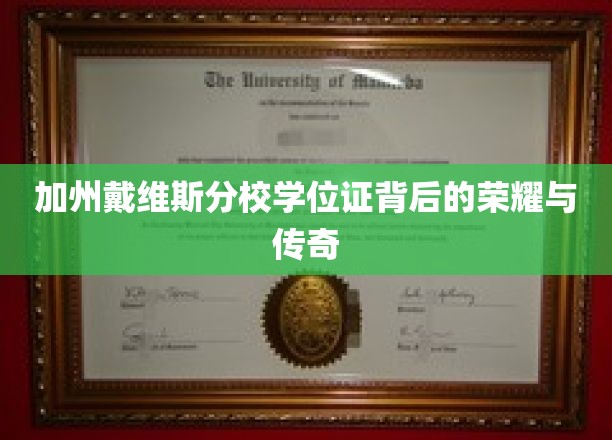 加州戴维斯分校学位证，揭开荣耀传奇背后的神秘面纱