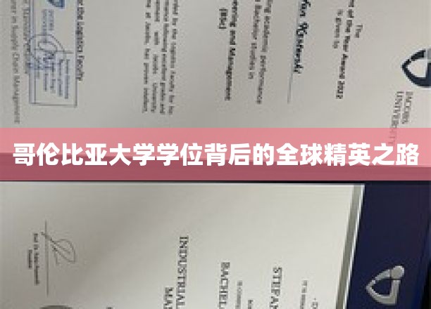 解锁哥大光环，揭秘全球精英的卓越之路