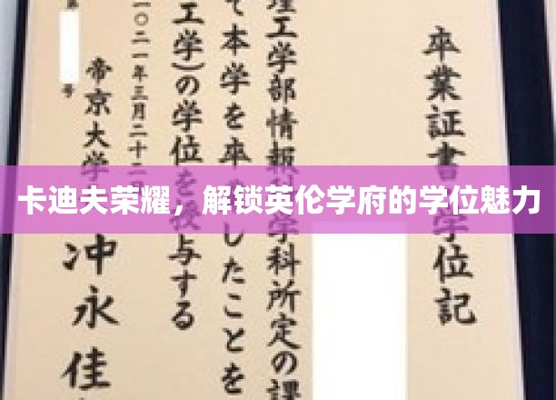 卡迪夫荣耀，解锁英伦学府的学位魅力