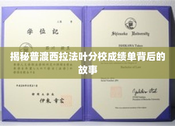 普渡西拉法叶分校成绩单背后的神秘面纱