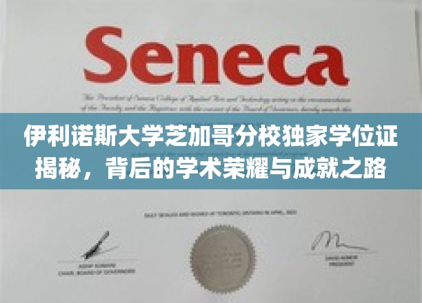 伊利诺伊大学芝加哥分校独家学位证揭秘，揭示其背后的学术荣耀与成就之路