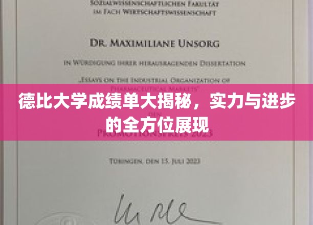 德比大学成绩单大揭秘，实力与进步的全方位展现