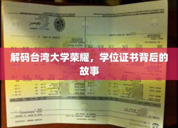 解码台湾大学荣耀，学位证书背后的故事