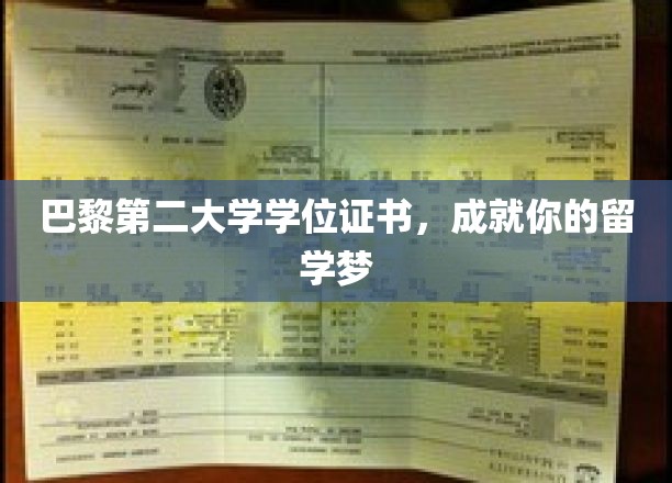 巴黎第二大学文凭，助你实现海外留学梦想之路
