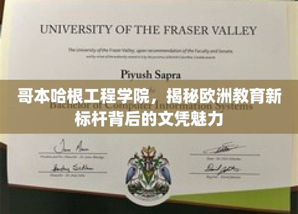 哥本哈根工程学院，欧洲教育新宠儿的文凭吸引力解析