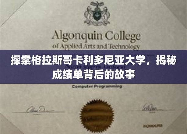 揭开格拉斯哥卡利多尼亚大学成绩单背后的秘密世界