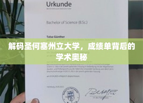 解码圣何塞州立大学，成绩单背后的学术奥秘