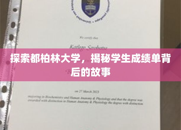 探索都柏林大学，揭秘学生成绩单背后的故事