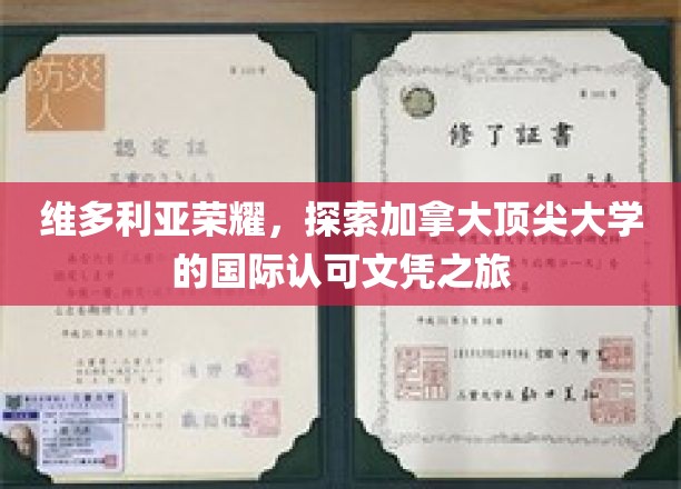 维多利亚荣耀，踏上加拿大顶尖大学的国际认可文凭之旅