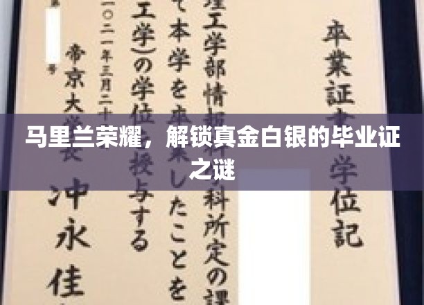 马里兰荣耀，解锁真金白银的毕业证之谜