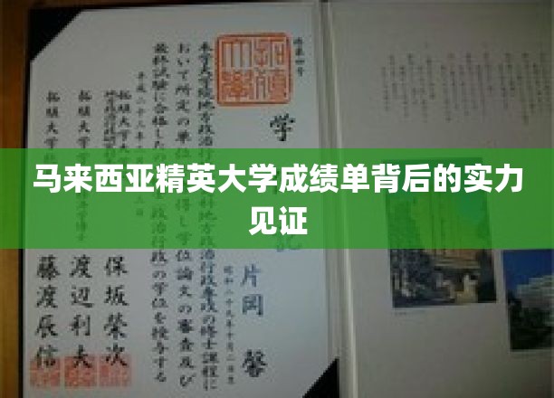 马来西亚精英大学，揭秘卓越成绩单背后的雄厚实力