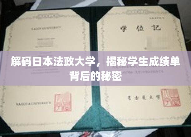 探寻法政大学成绩单，一纸成绩，多重解读