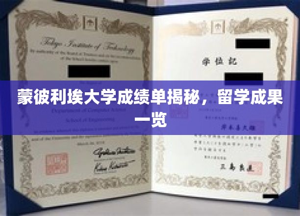 蒙彼利埃大学留学风采，一纸成绩单诠释卓越成长轨迹