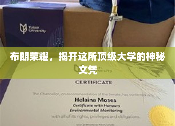 探寻布朗大学神秘文凭背后的荣耀之谜