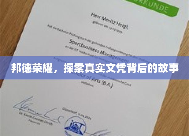 文凭之谜，揭秘邦德荣耀背后的传奇篇章