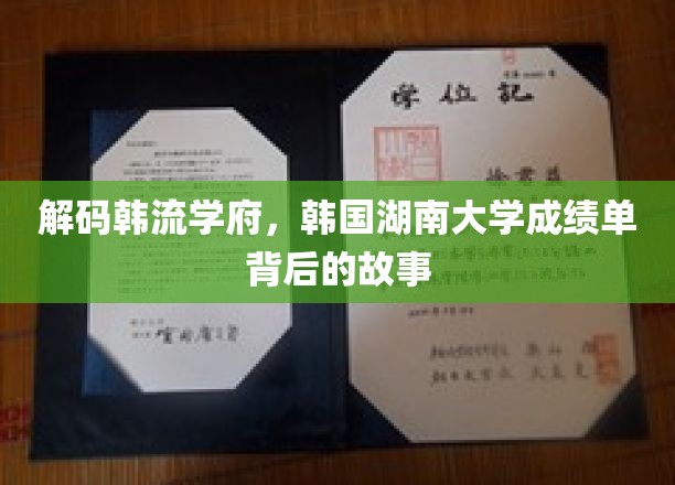 韩流摇篮揭秘，湖南大学学霸们的成绩单传奇