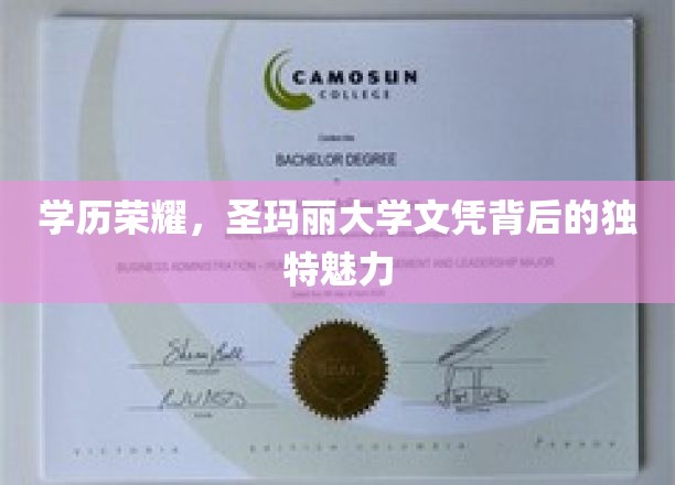 学历荣耀，圣玛丽大学文凭背后的独特魅力