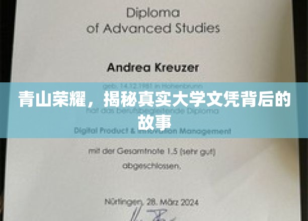 学历光环背后的真实历程，揭秘大学文凭背后的不为人知故事