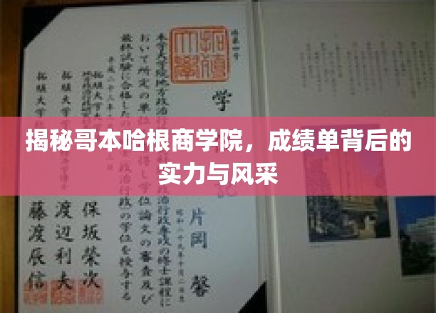 解码哥本哈根商学院：成绩单背后的实力与风采