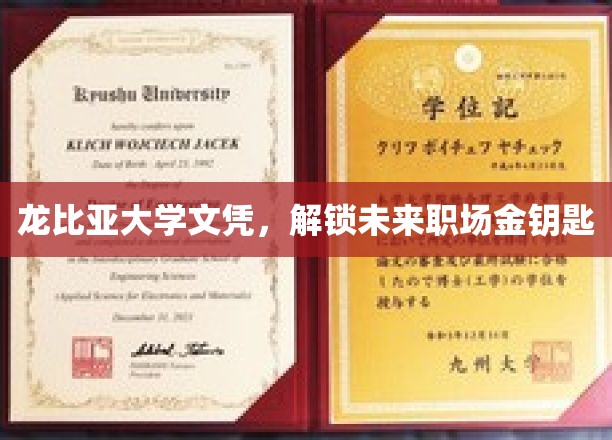 龙比亚大学文凭，开启未来职场大门