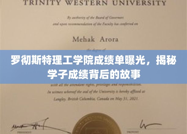 罗切斯特理工学院成绩单大揭秘，学子成绩背后的奋斗历程